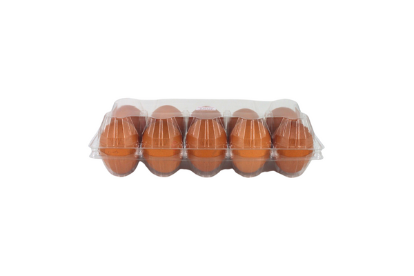 Private Label Fresh Eggs 10 pieces